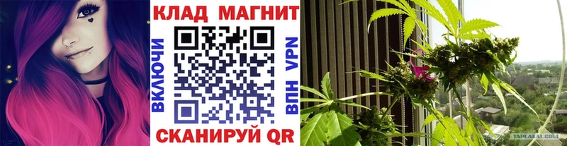 Псилоцибиновые грибы Ковдор