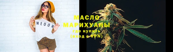 прущие крисы Бородино