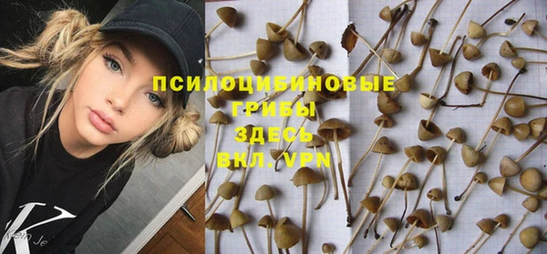 круглые Бронницы