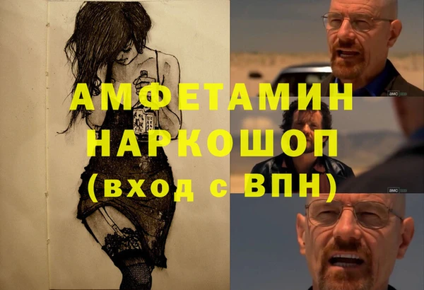 амф Верея