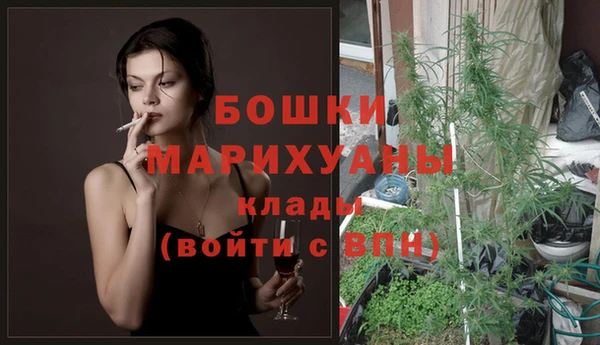 не бодяженный Снежногорск
