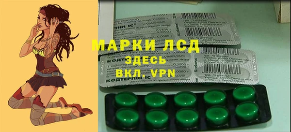 прущие крисы Бородино